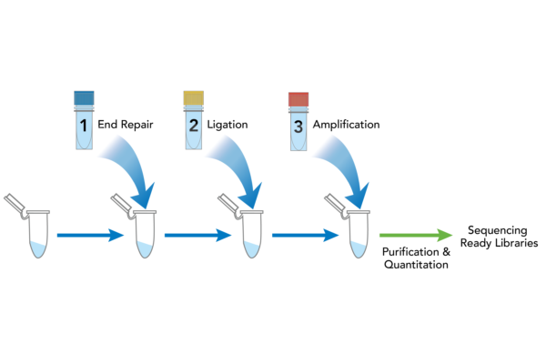 DNAseq solutions – Immuno Diagnostic