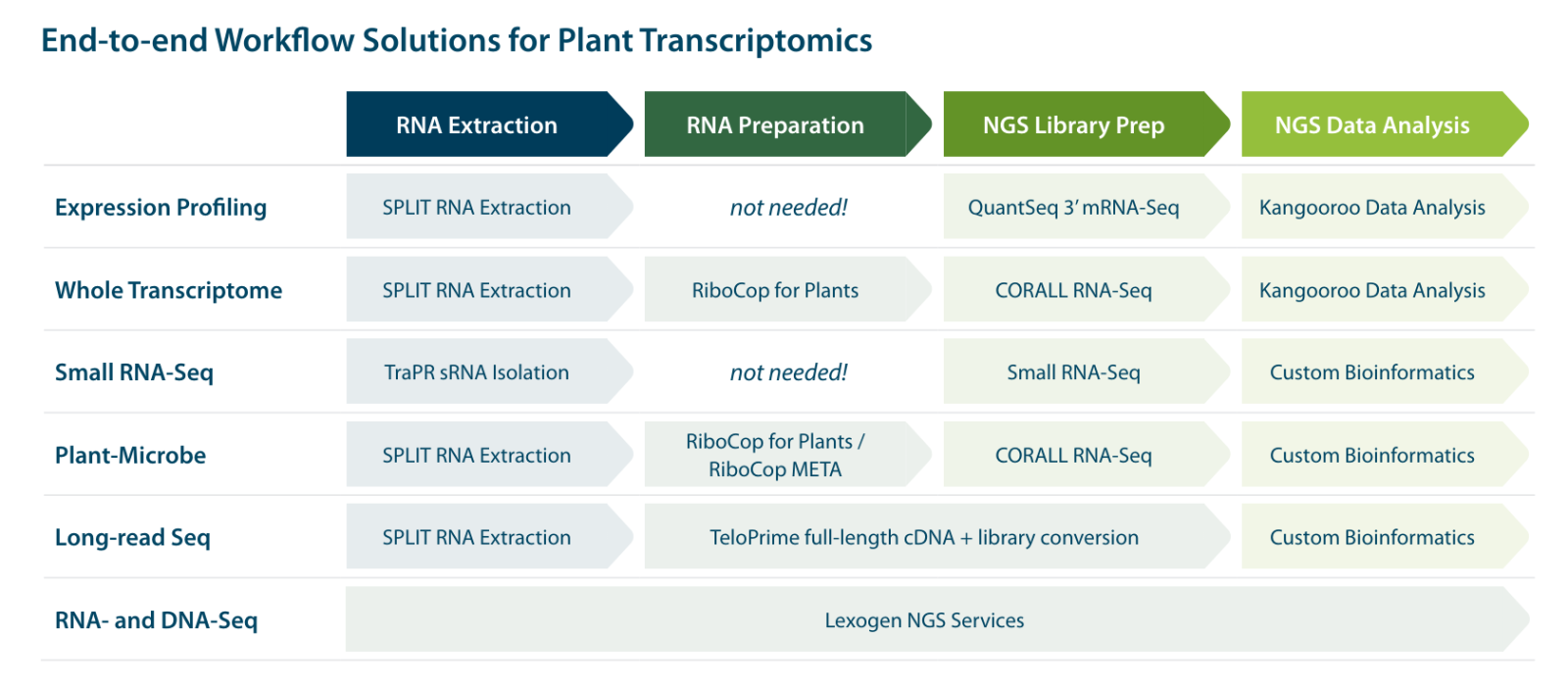 Lexogen's Complete Plant Transcriptomics workflows from Extraction to ...